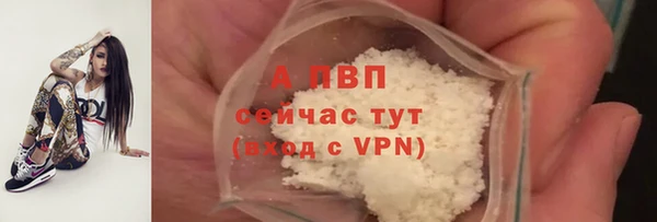 мяу мяу мука Переславль-Залесский