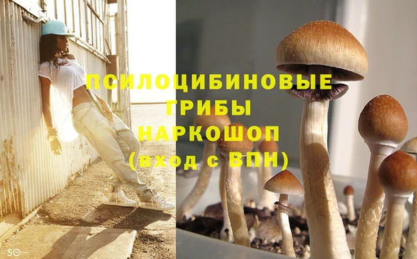 мескалин Пересвет