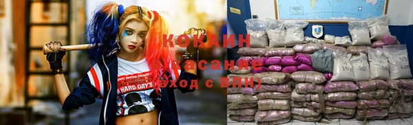 мяу мяу мука Переславль-Залесский