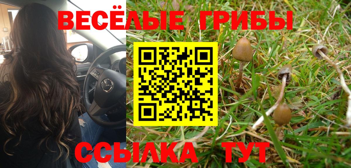 Псилоцибиновые грибы Cubensis  Галлюциногенные грибы мицелий  Луховицы 