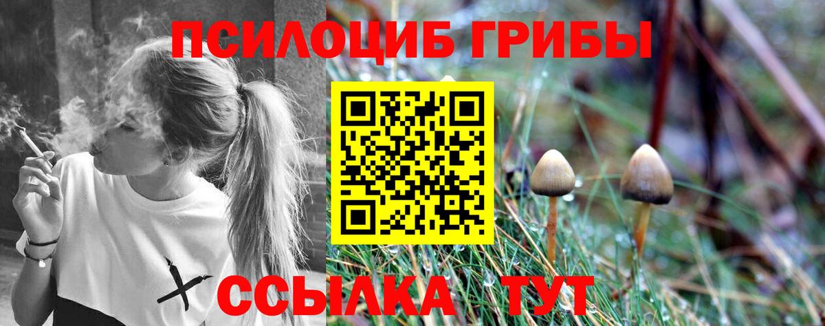 Галлюциногенные грибы мухоморы  Галлюциногенные грибы ЛСД  Вход с VPN  Луховицы 