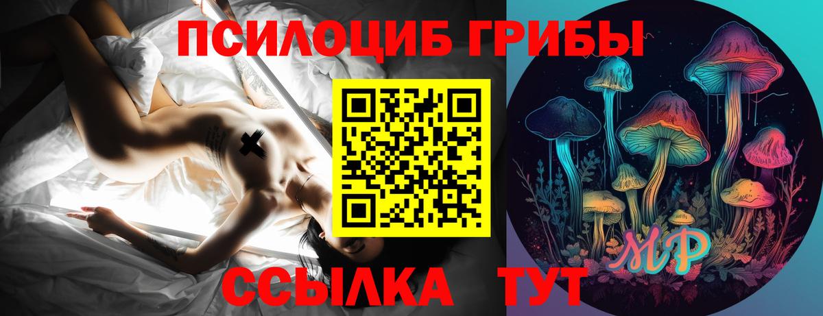 Галлюциногенные грибы Cubensis Луховицы